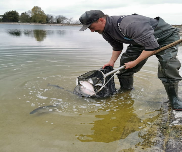 a man catching fish in a lake using a net