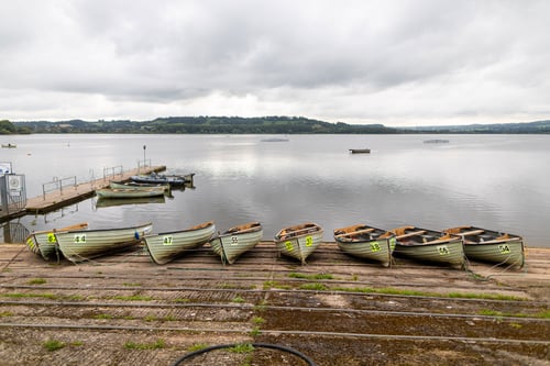 Boats lined up along the dock at the lake