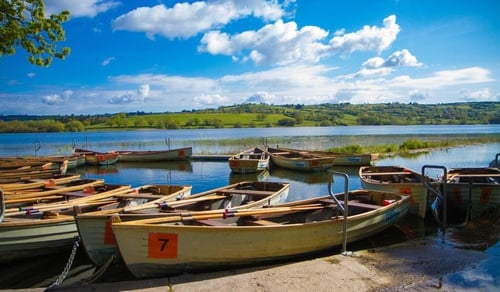 boats on the lake on a sunny day