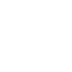 Linkedin icon